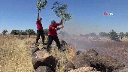 - Anız yangını buğday ambarlarına sıçramadan söndürüldü