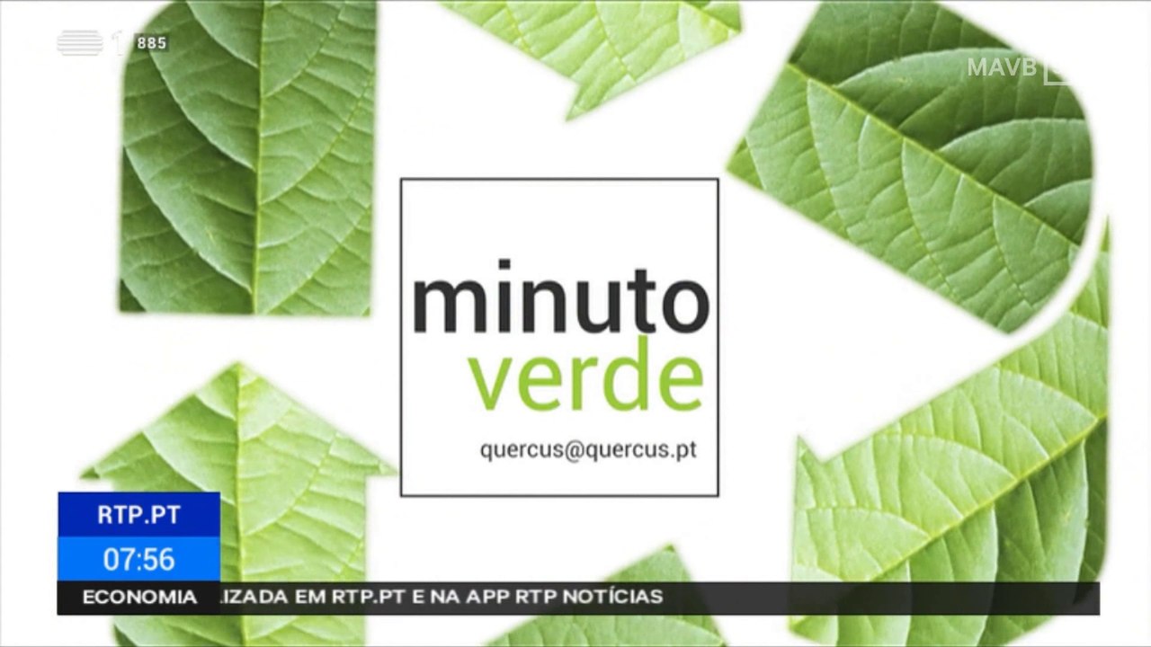 RTP1 Minuto Verde 01-07-2019