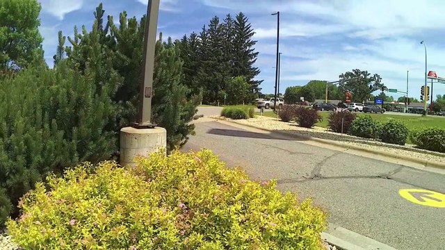 4 Fatima Pilgrimage walk across USA # headed to pray with the holy bones