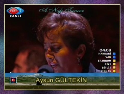 Aysun GÜLTEKİN - Severim Ben Seni Candan İçerû