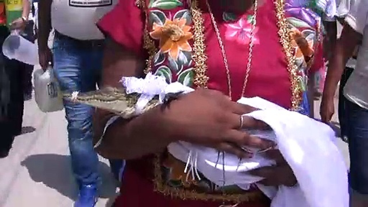 Casamento animal