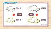 [HEALTH] What is the Good diet?,기분 좋은 날20190702