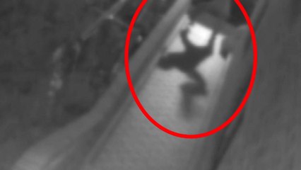 땅에 패대기...길고양이 학대 영상 '공분' / YTN