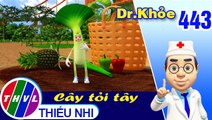 THVL | Dr. Khỏe - Tập 443: Cây tỏi tây - Phần 2