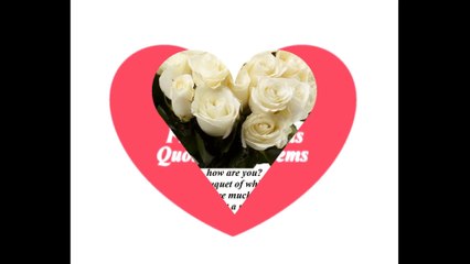 Good morning my love, brought a white rose bouquet, love you! [Message] [Quotes and Poems]