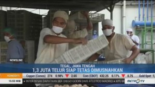 Harga Ayam Anjlok, Pinsar Minta Pemerintah Bertindak Tegas