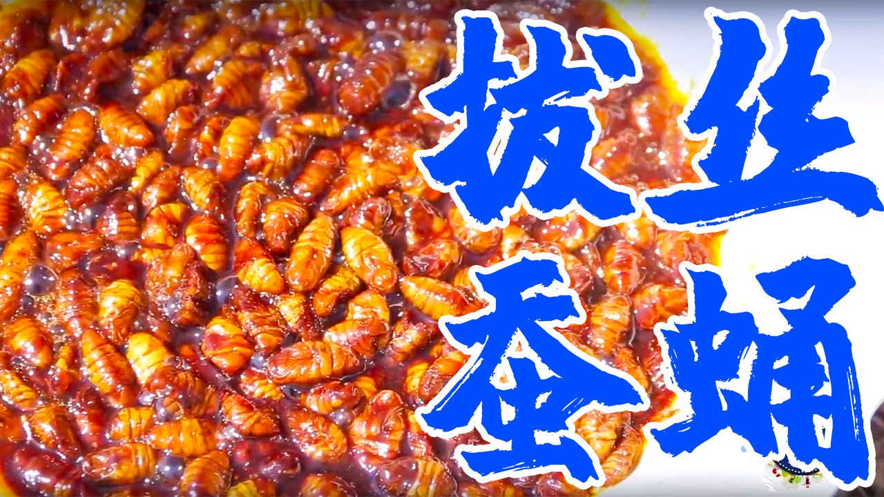 【MountainsRecord】师傅问徒弟什么是生活？一道拔丝蚕蛹，出锅后馋得直流口水！