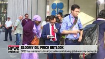 OPEC extends supply cut measure by 9 months, amid structural concerns