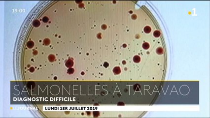 Les analyses à la salmonelle négatives dans l'élevage de Taravao