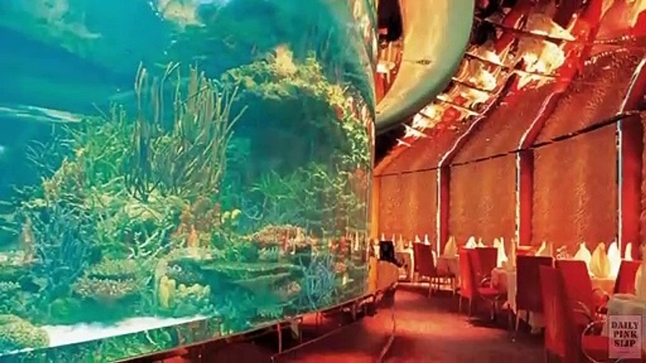 10 Most Strange & Unusual Restaurants in the World