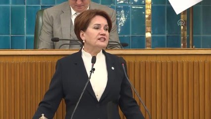 Akşener: "Milletle inatlaşan hiç bir siyasi hareket ayakta kalmamıştır"