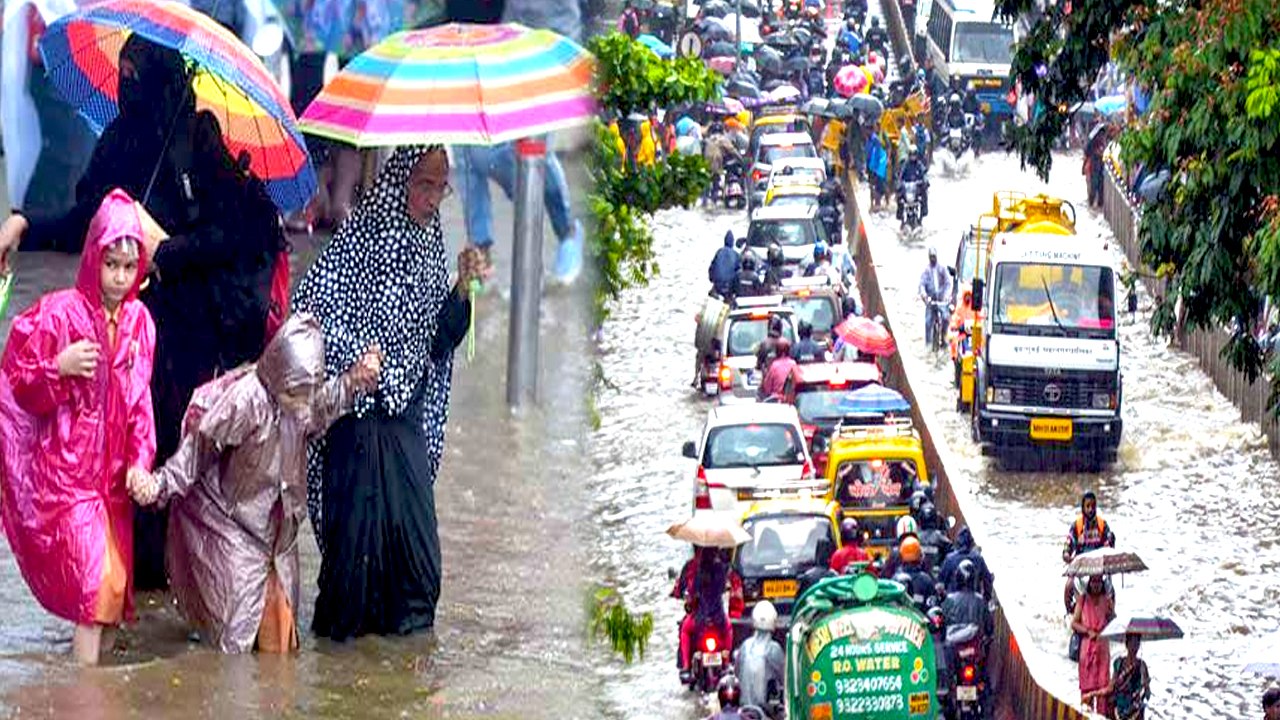 MUMBAI RAINS | வெள்ளத்தில் மிதக்கிறது மும்பை! மீட்பு பணிகள் தீவிரம்- வீடியோ