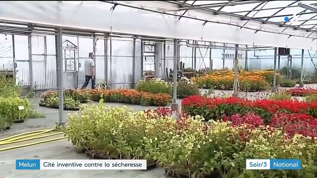 Seine-et-Marne : comment Melun consomme moins d'eau