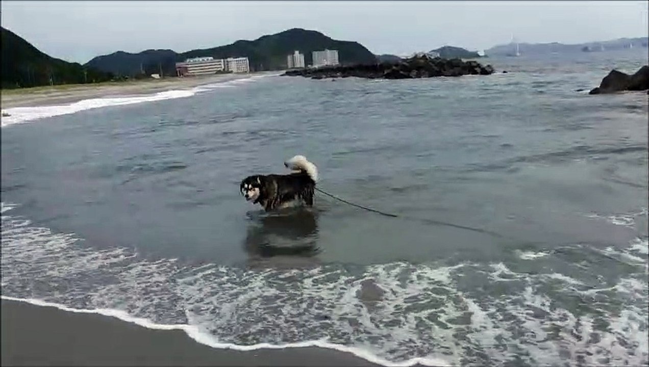 竜宮の磯