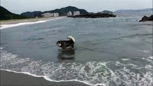 竜宮の磯