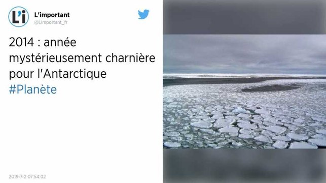 Climat : Antarctique : le mystère de l'année 2014 intrigue les scientifiques