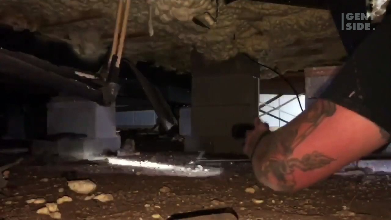 Sente strani rumori in cantina, ecco cosa scopre