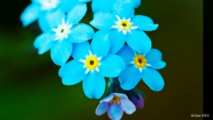 강남풀사롱O1O≡65O5≡O5O7강남풀싸롱대박초이스강남룸사롱강남란제리강남이프역삼동포커스강남더블업강남물고기강남오피방역삼동오피선릉건마강남풀싸롱대치동풀싸롱강남룸싸롱강남벅시강남초원의집강남룸싸롱역삼룸사롱선릉하드코어강남란제리강남야구장강남두바이5645364