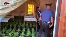 Cefalù (PA)  -Carabinieri scoprono coltivazione droga e tritolo (02.07.19)
