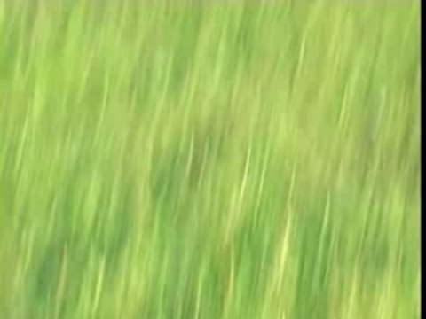 Decollage at-6 en patrouille