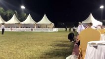 Arabian Horse Breeders Championship
