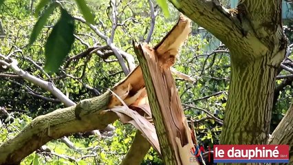 Mardi matin, d'importants dégâts étaient à signaler aux alentours de Moirans et à Saint-Quentin-sur-Isère.