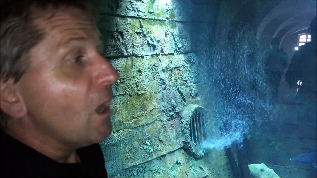 A la rencontre de Mickael Bejean, responsable de l’aquarium de la Citadelle de Besançon