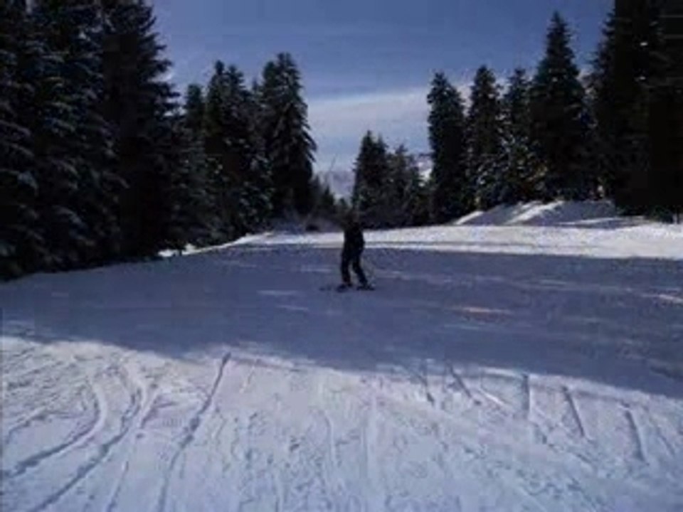 Sports d'hivers 2008