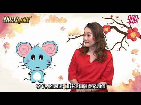 988《全力pick up 过好年》十二生肖好运程 －鼠