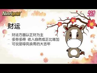 988《全力pick up 过好年》十二生肖好运程—马