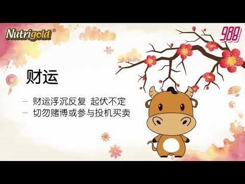 988《全力pick up 过好年》十二生肖运程－牛