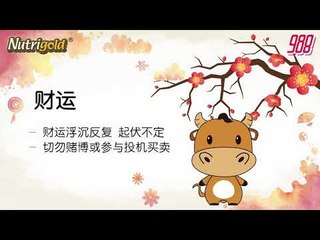 988《全力pick up 过好年》十二生肖运程－牛