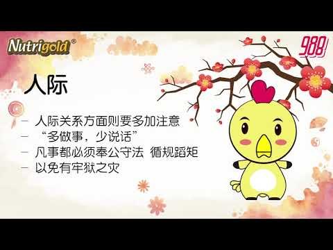 988《全力pick up 过好年》十二生肖好运程—鸡