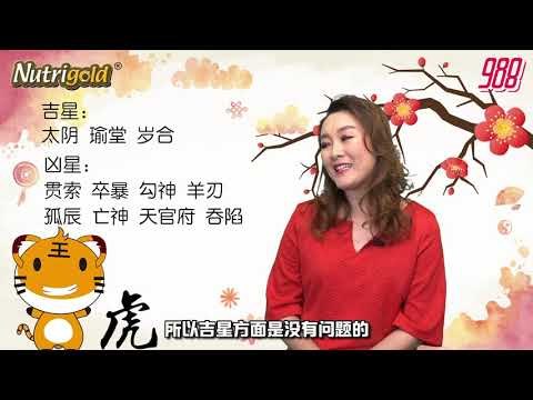988《全力pick up 过好年》十二生肖运程－虎