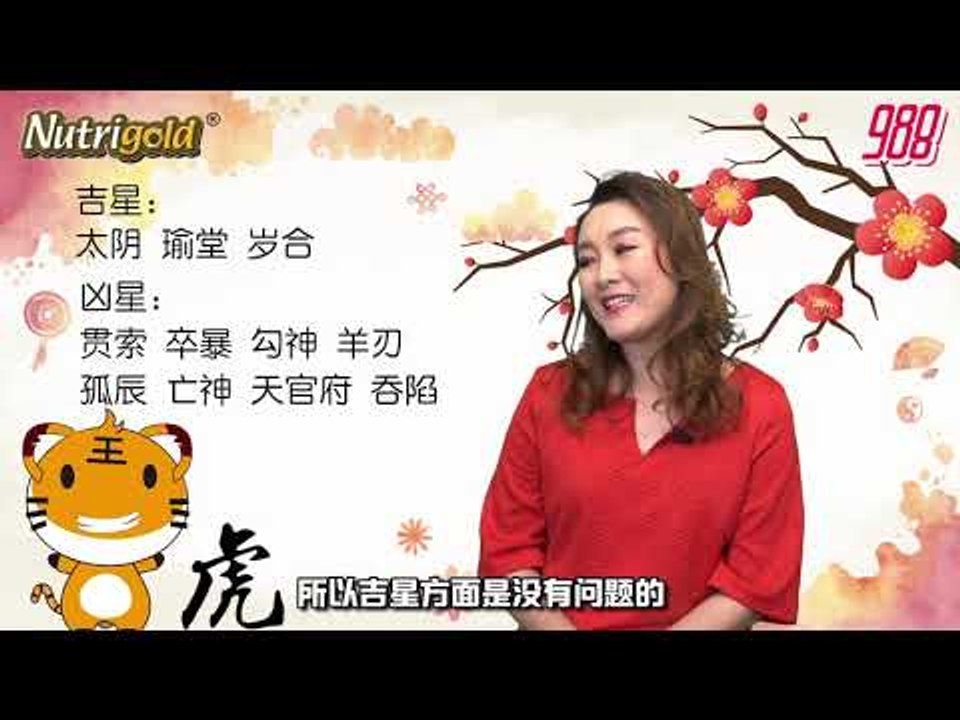 988《全力pick up 过好年》十二生肖运程－虎