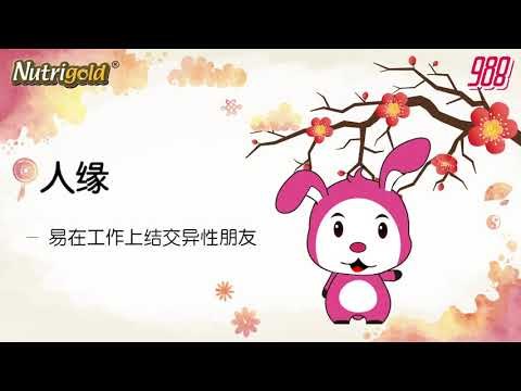 988《全力pick up 过好年》十二生肖好运程——兔