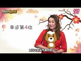 988《全力pick up 过好年》十二生肖好运程—狗