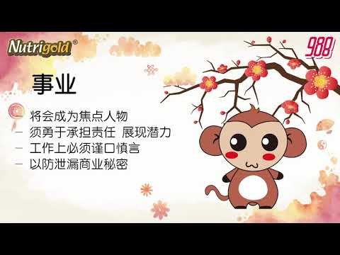 988《全力pick up 过好年》十二生肖好运程—猴