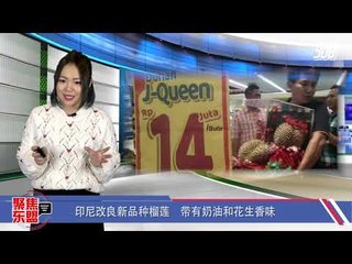 天价榴莲引热议　一颗要价4千令吉 《聚焦东盟》31-1-2019