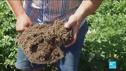 Austria considers total ban on controversial pesticide glyphosate