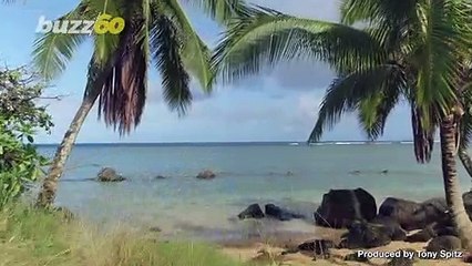 Margarita Burns Are Real, Here’s How to Avoid the Photochemical Burns