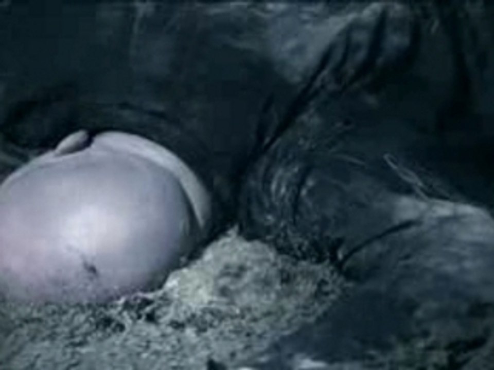 Paradise - lost the enemy  2007