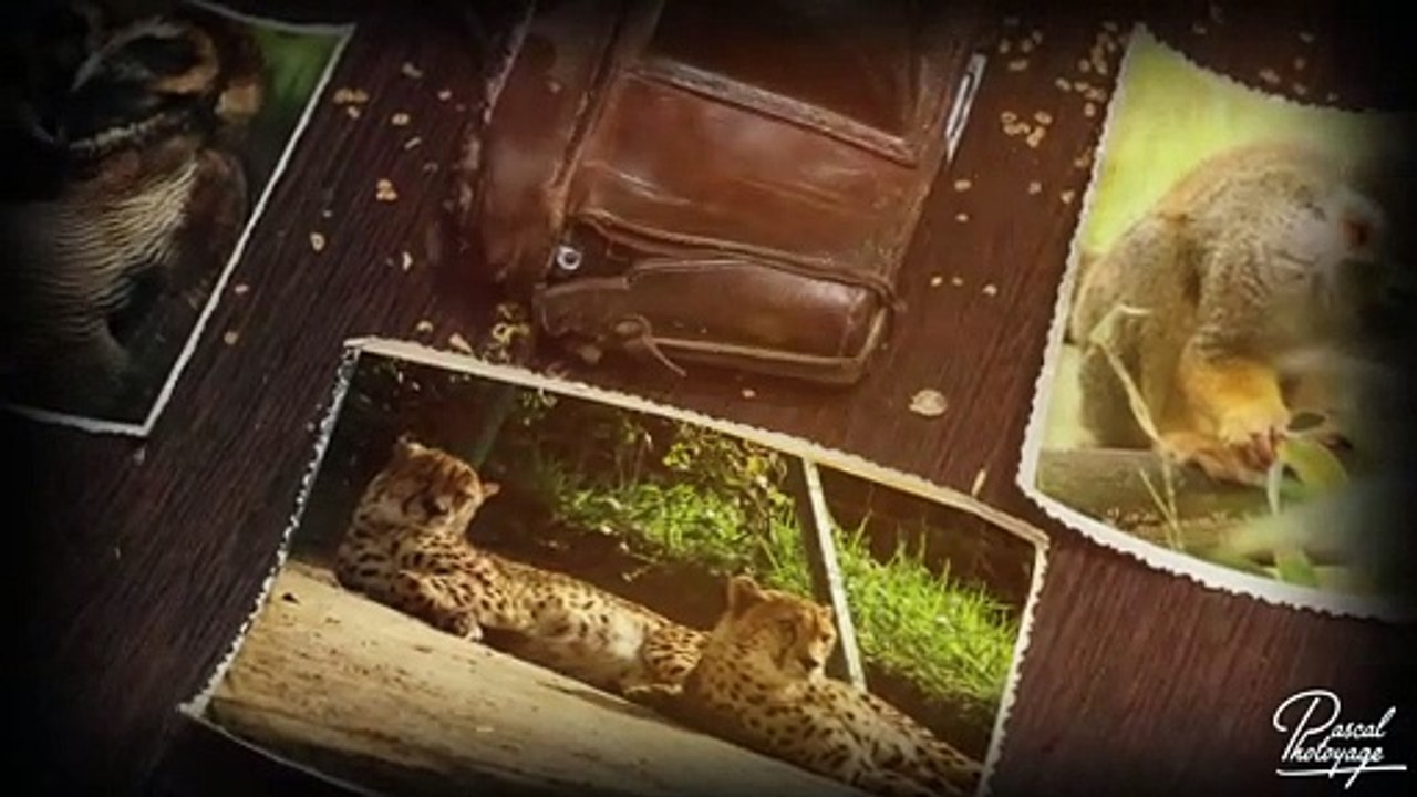 Le zoo de LA FLECHE
