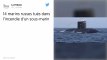 Russie : 14 marins tués après l’incendie d’un sous-marin