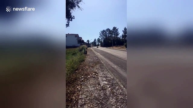 Beer delivery by motorized shopping cart