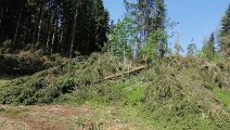 Combloux : après les orages,  on dégage les arbres