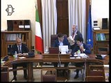 Roma - Audizioni su regolazione rapporti lavoro (02.07.19)