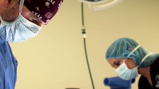 Welcome to Spring Creek Animal Hospital