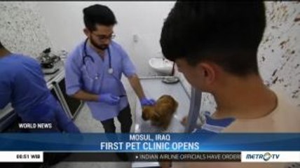 First Pet Clinic Opens in Mosul
