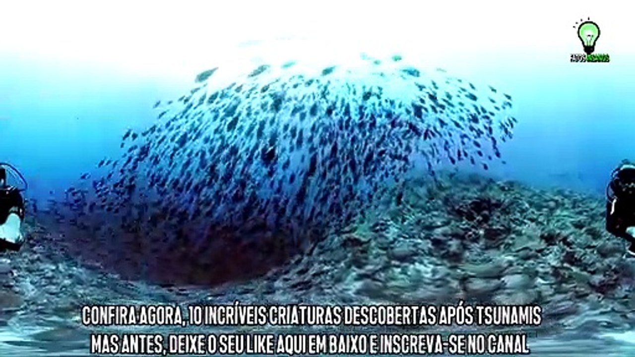 10_CRIATURAS_DESCOBERTAS_APÓS_TSUNAMIS_-_TOP_10(1)